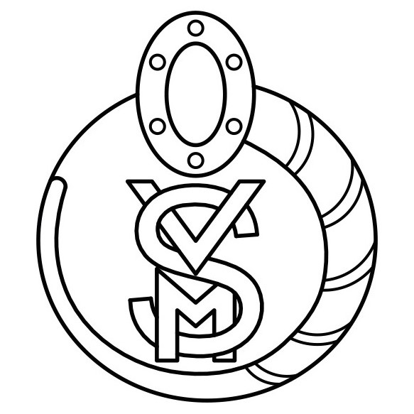 VSMlogo